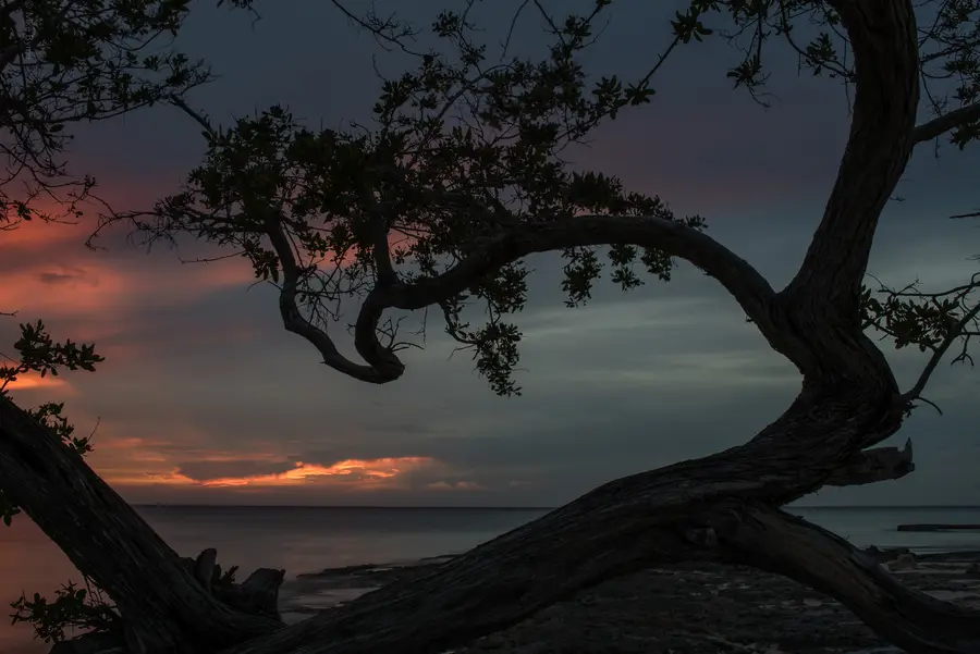 Cuban Sunset