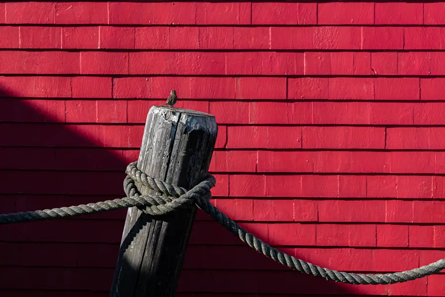 Mooring Line in Sun
